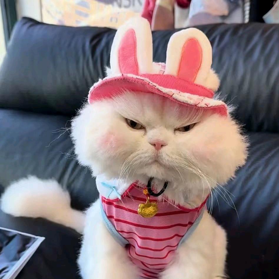 暴躁的倩.
