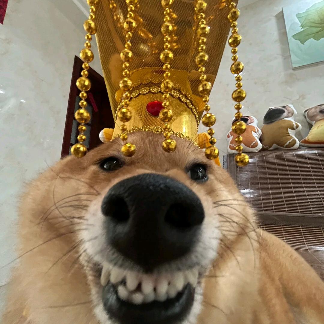 LLL