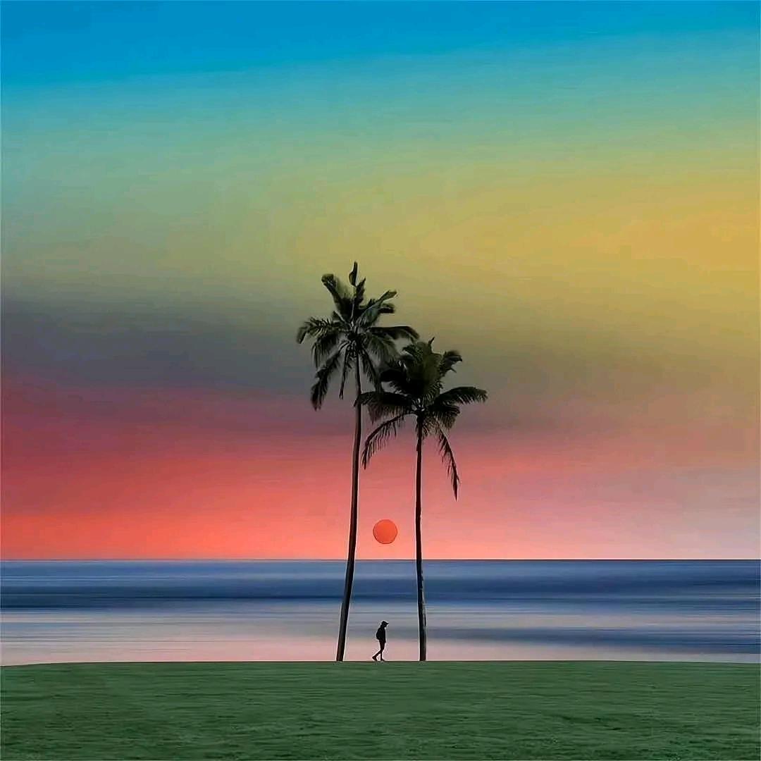 浪你个浪