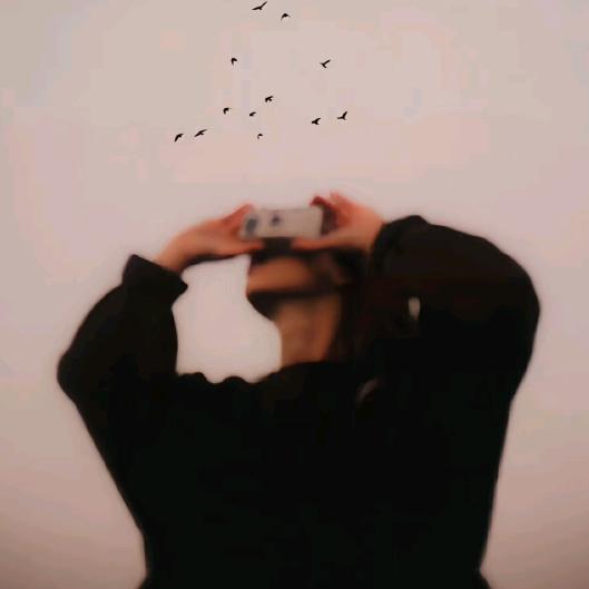 山鸟与鱼