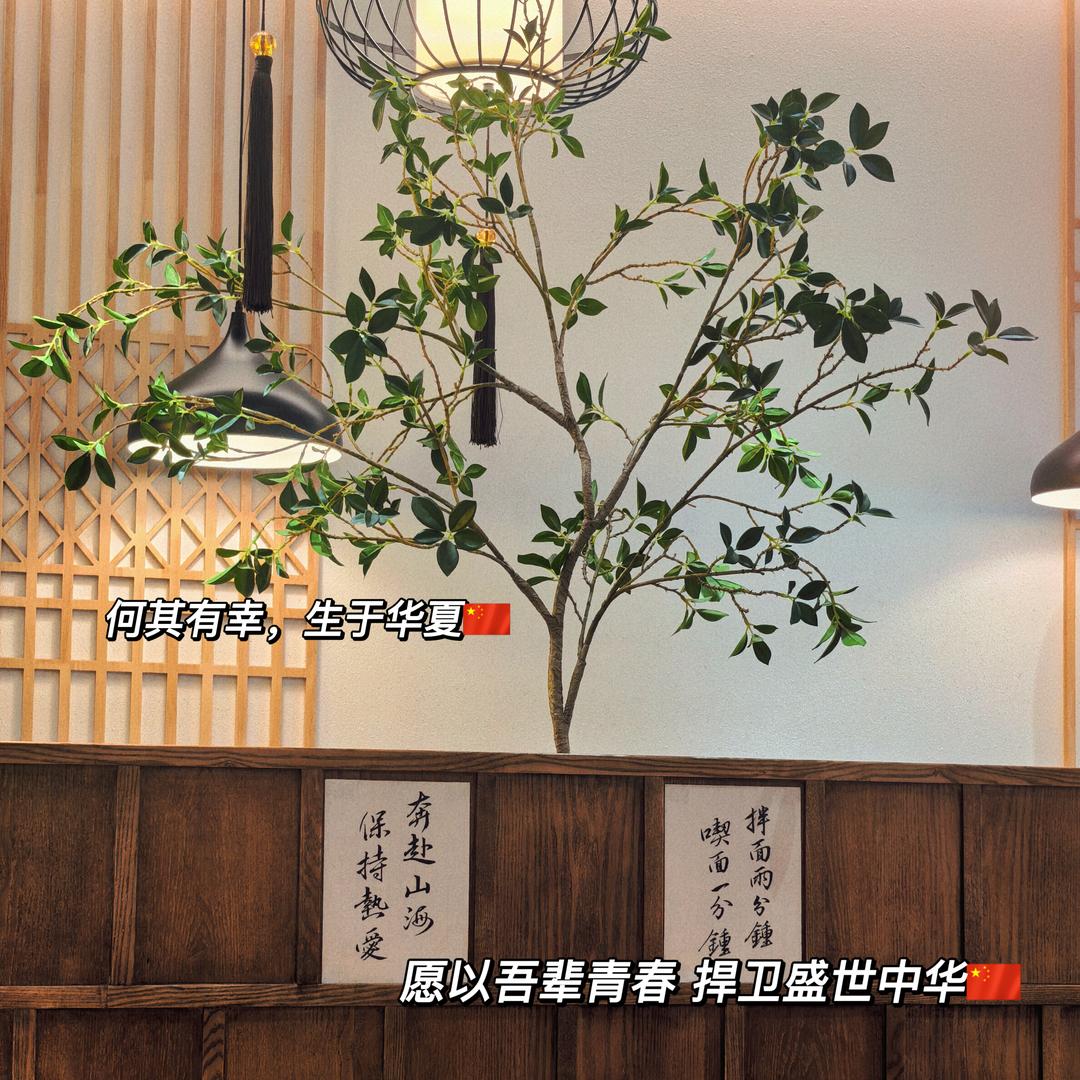 潇潇不是萧