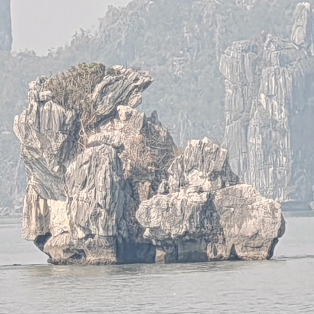 做个人见的小丑