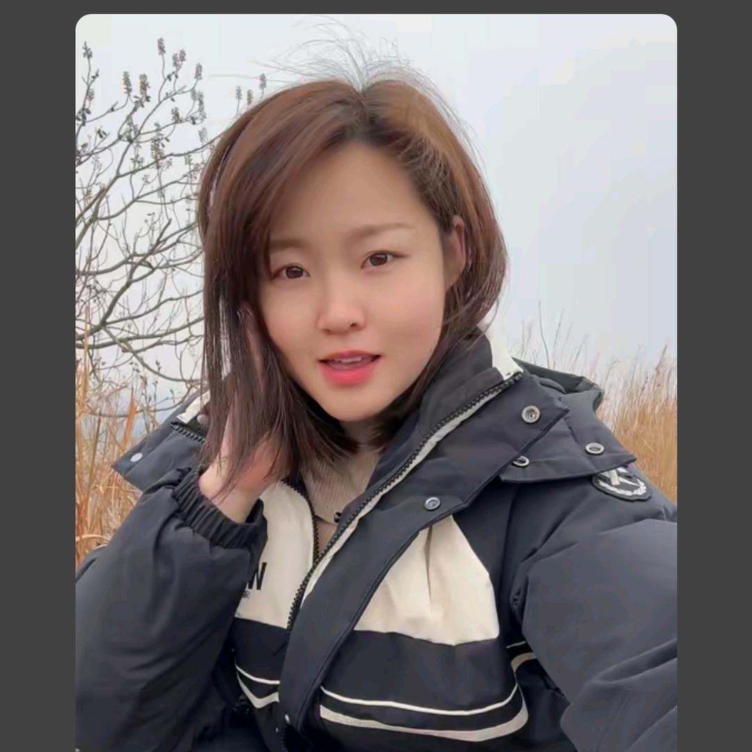阳光下的花