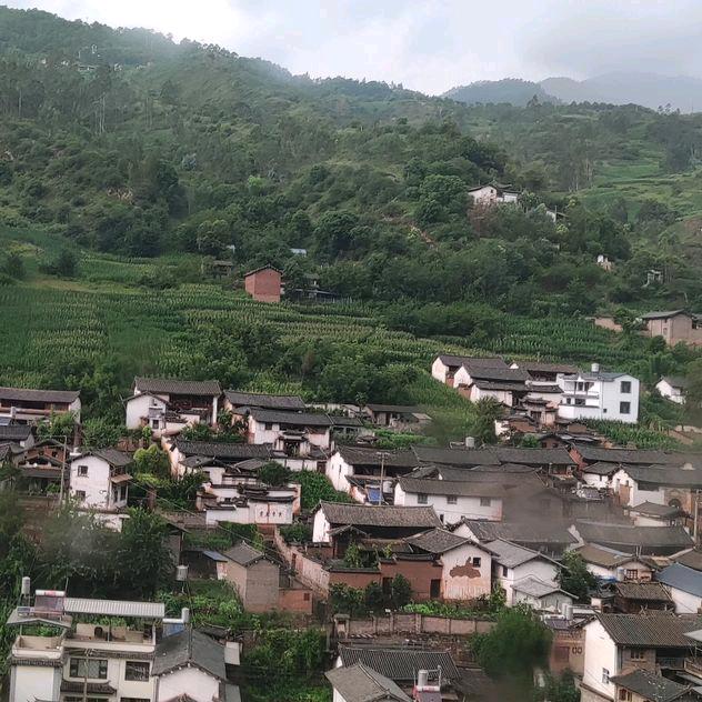 揪住你的大