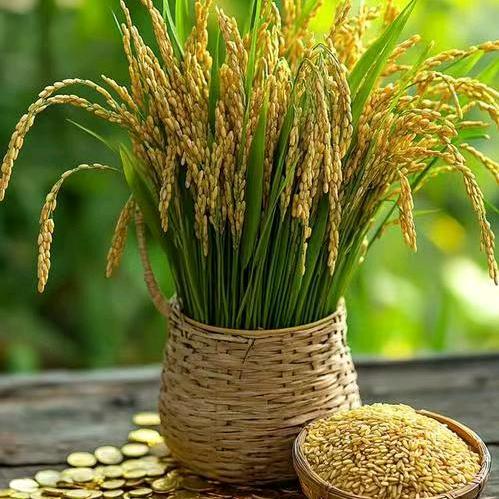 陕北小厨创始人阿璠哥