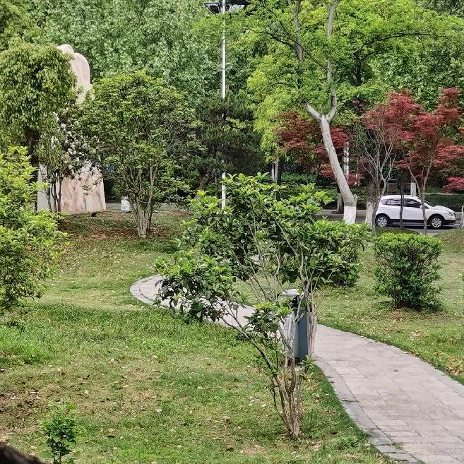 风雨彩虹