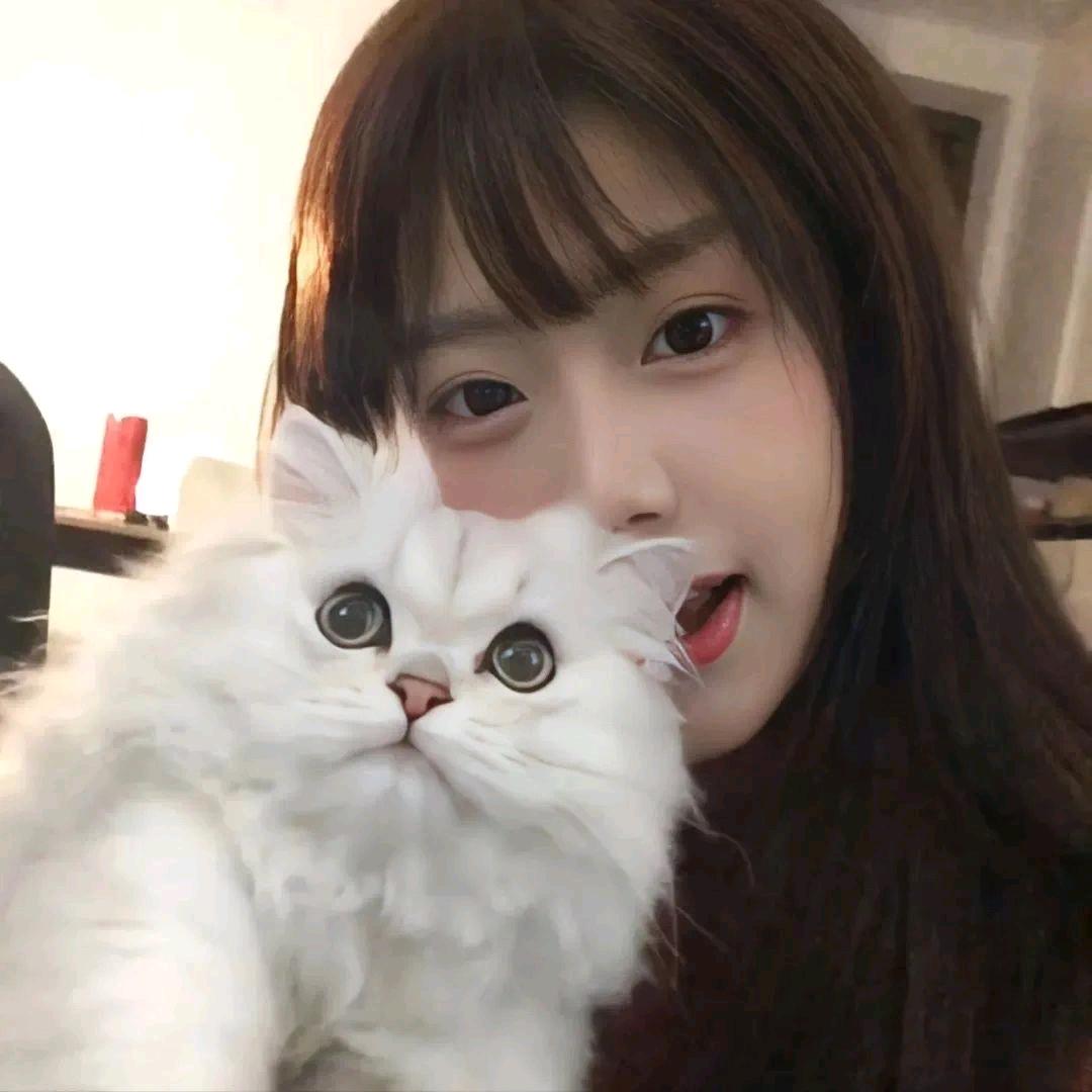 又打瞌睡了