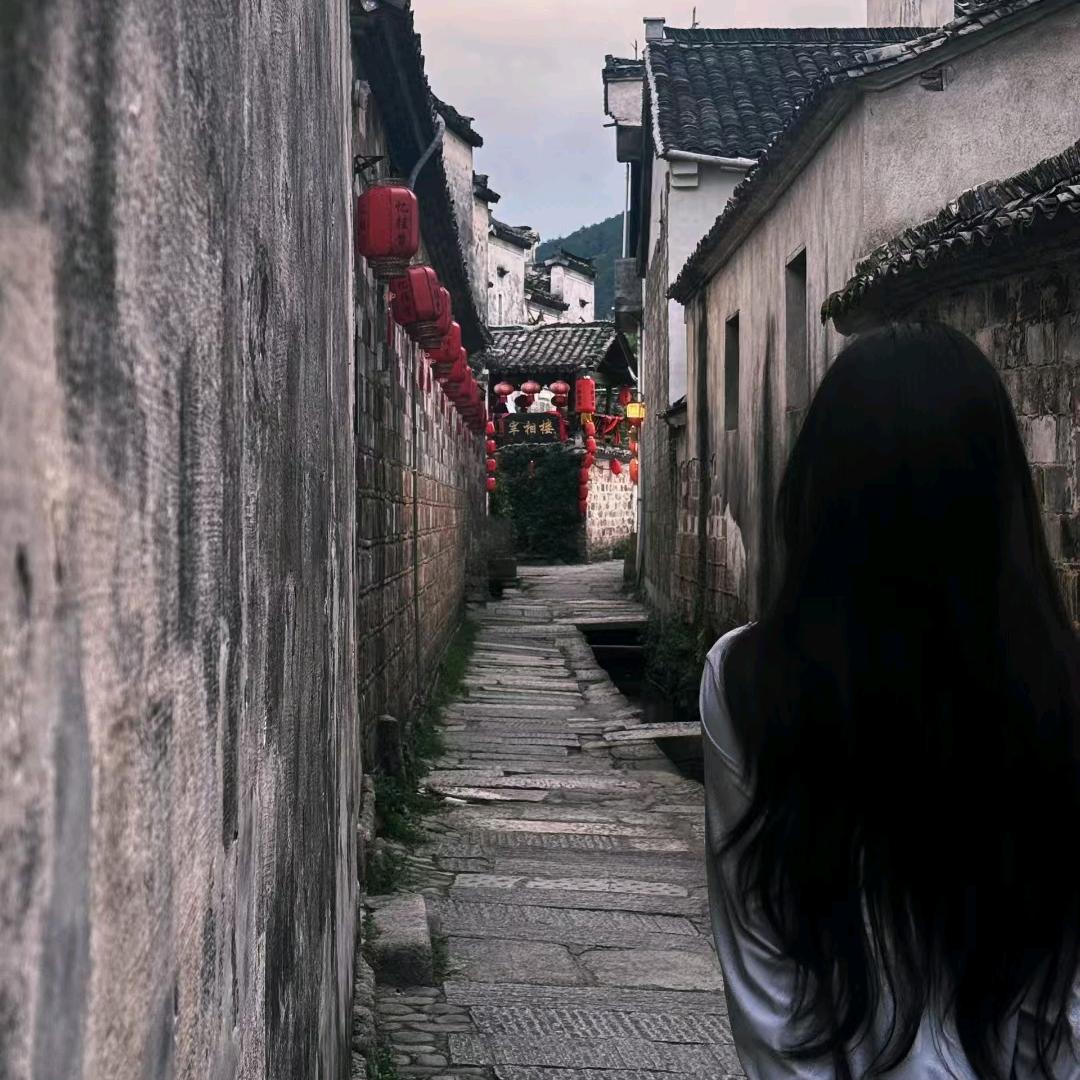 新月梦尘不吃鱼