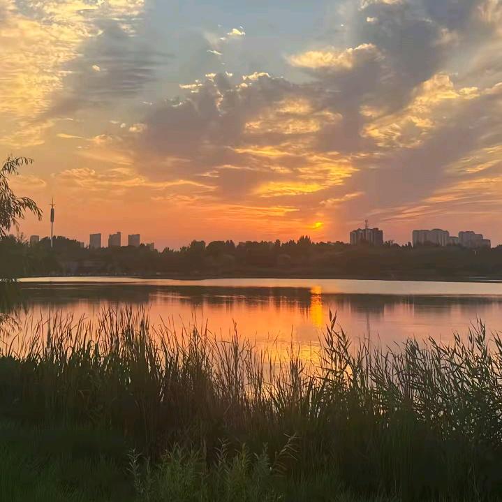 @柠檬