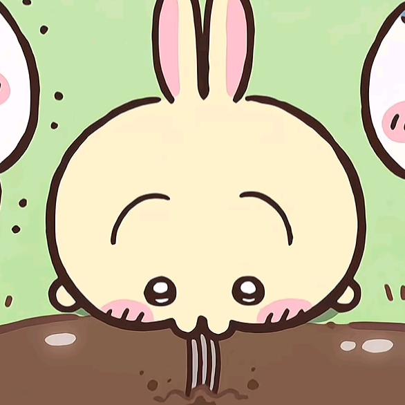 木姜籽油炸兔头