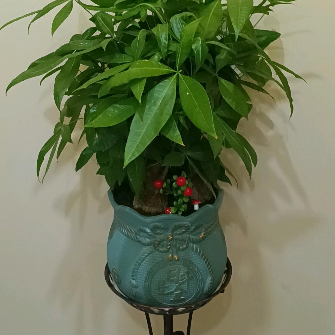 晴原居足道SPA官方号