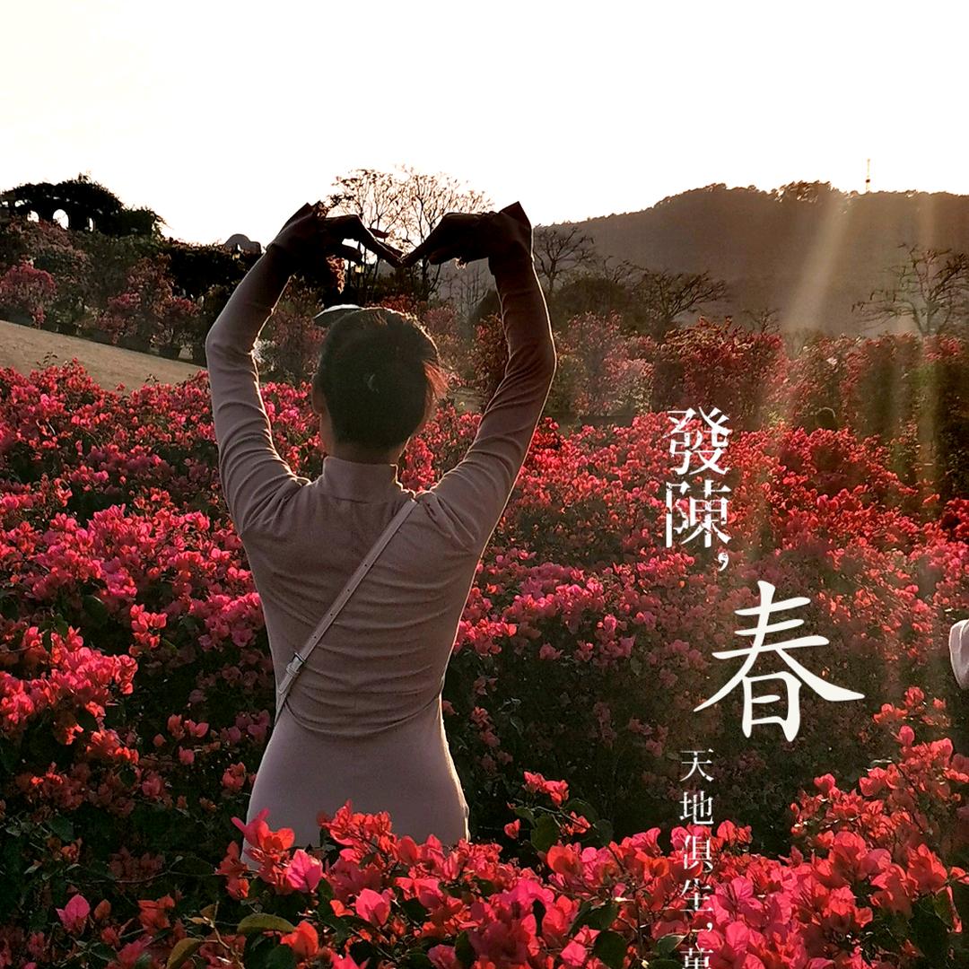 教育界牛马（生活版）