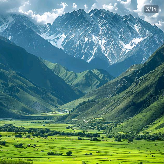 用户4514841464268大漠孤狼