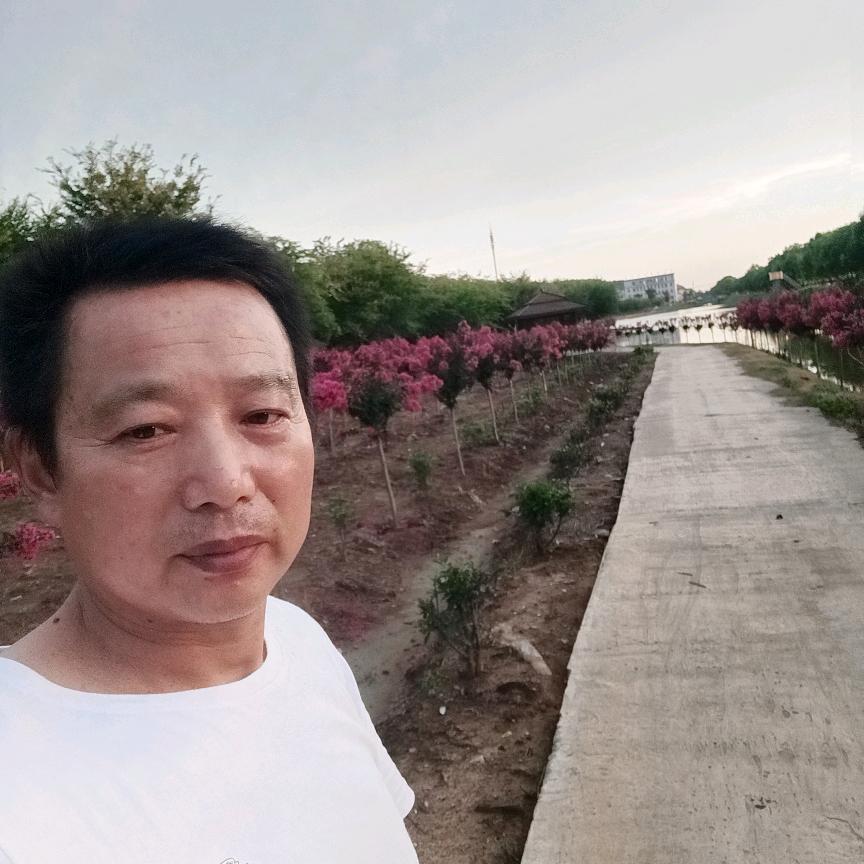 用户338272709725爱过痛过