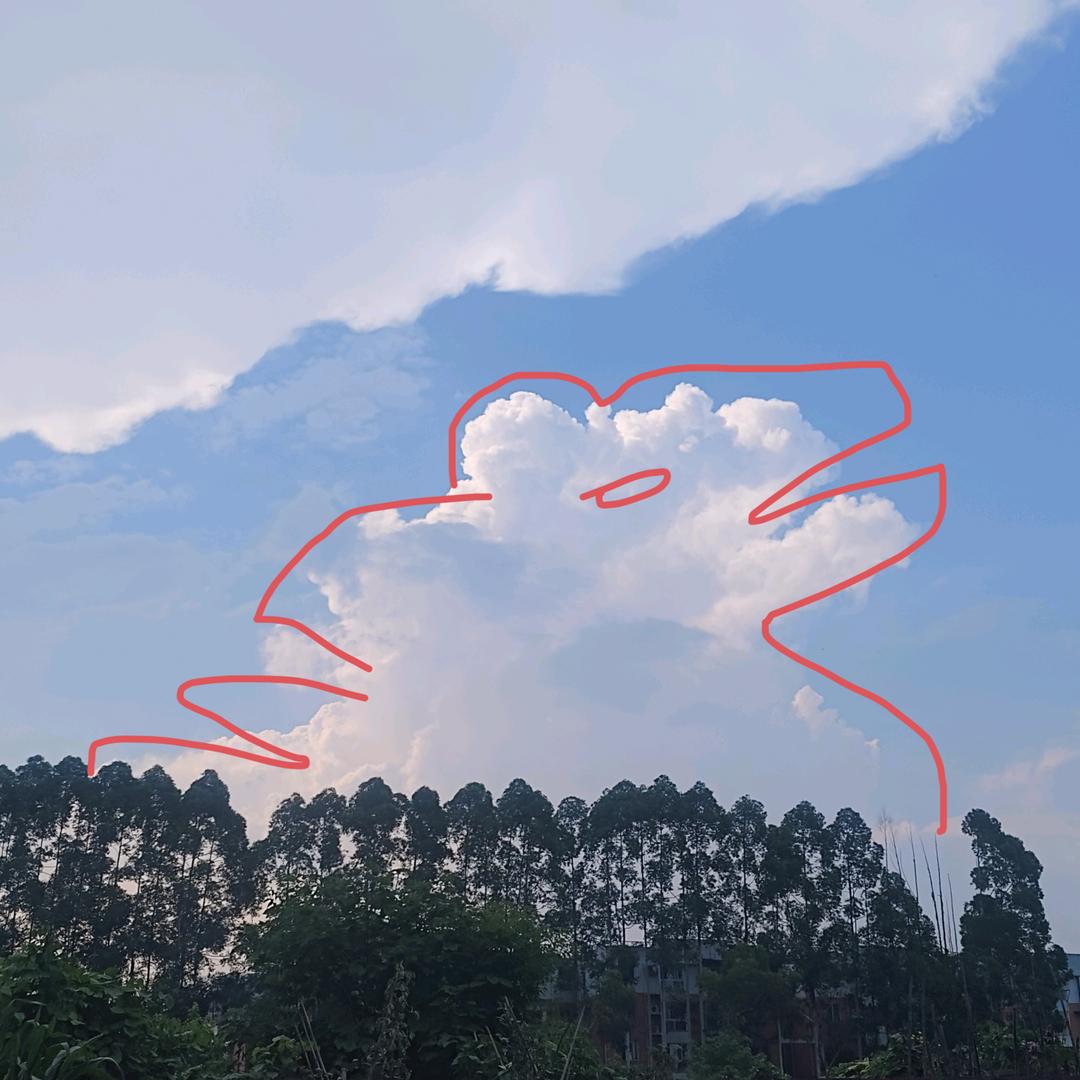 猫咪大王有点帅