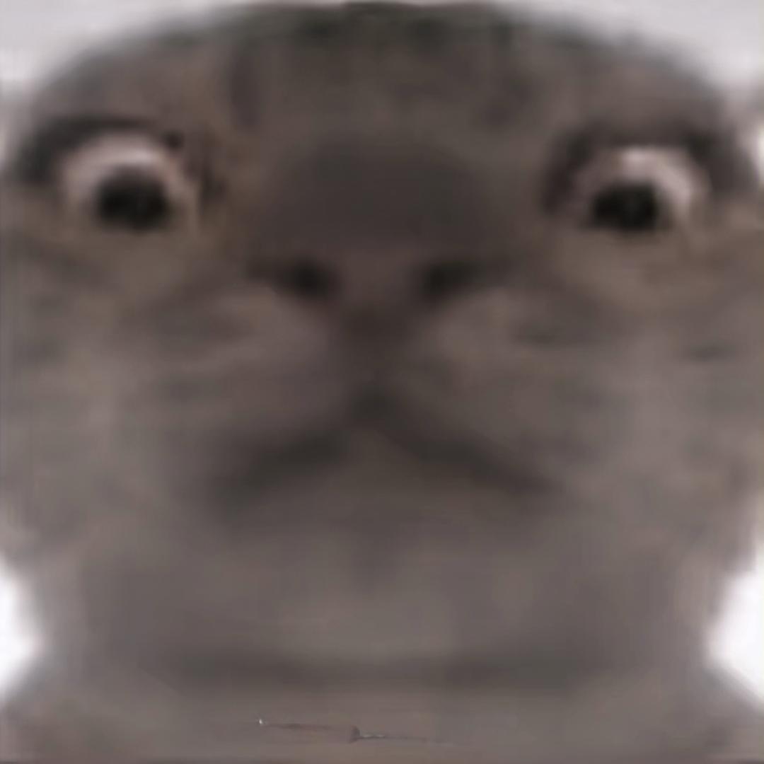 𝔼𝕟𝕛𝕠𝕪 𝕋𝕠𝕕𝕒𝕪