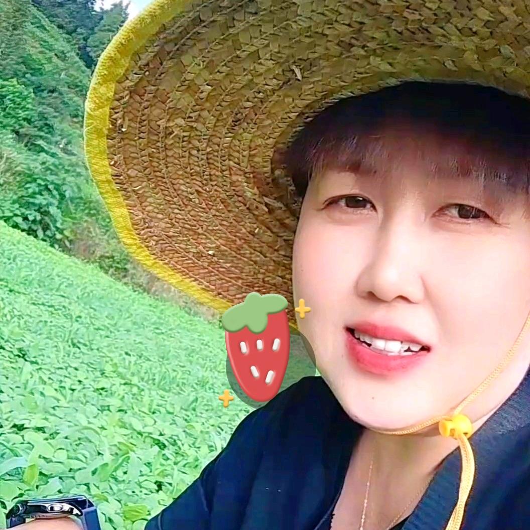 九庄（庄稼汉）农资店