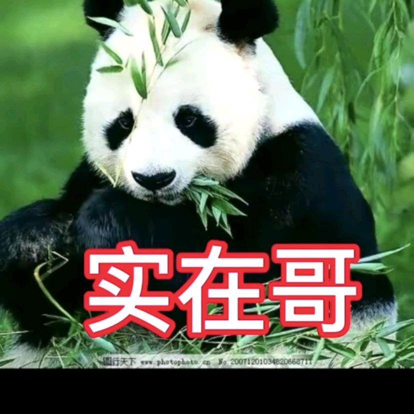 偏爱