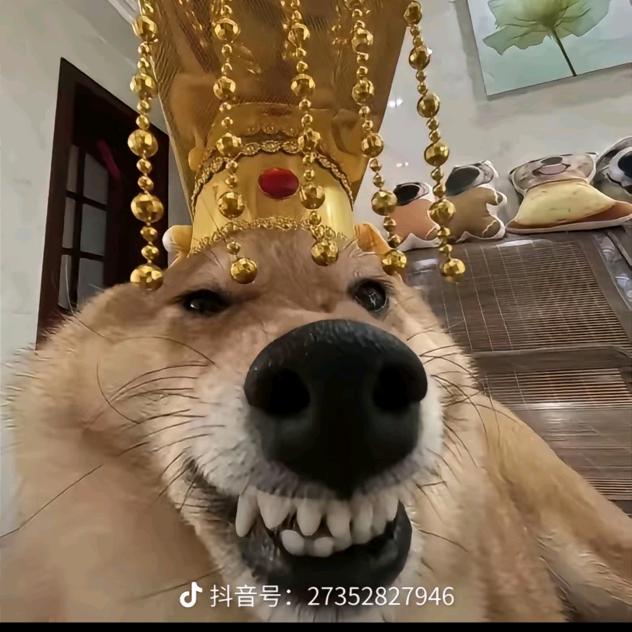 一个不太热心且喜欢帮忙的网友