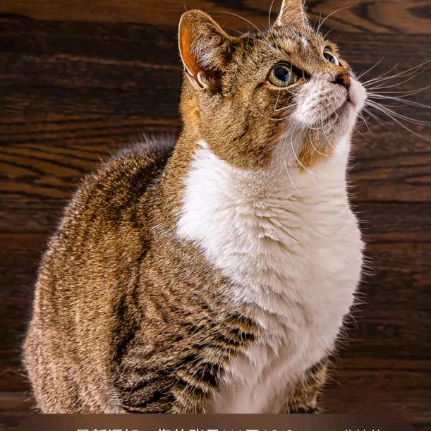 ℡時光轮回۵࿐ᩚ