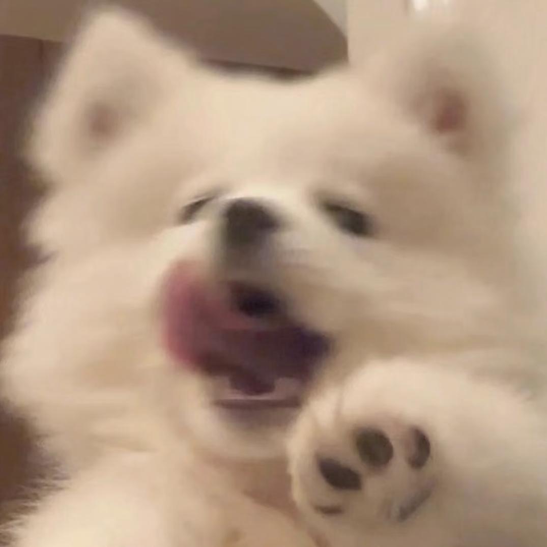 ⦮._.⦯