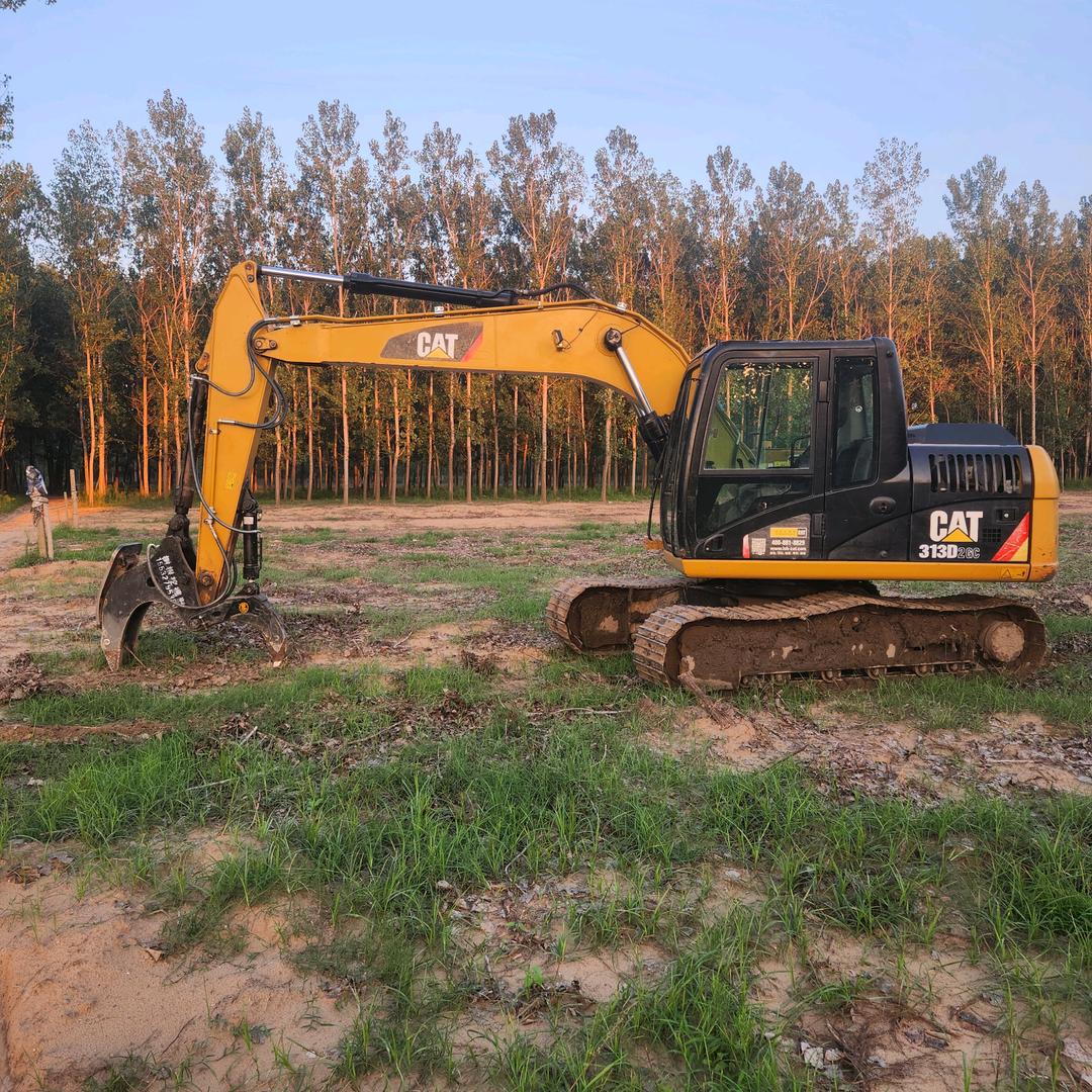 @地球🉐️美容师（挖树根）