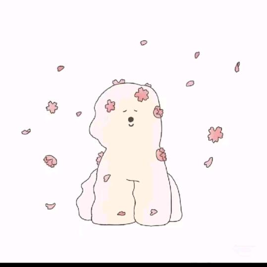 赵露思的玖玖吖
