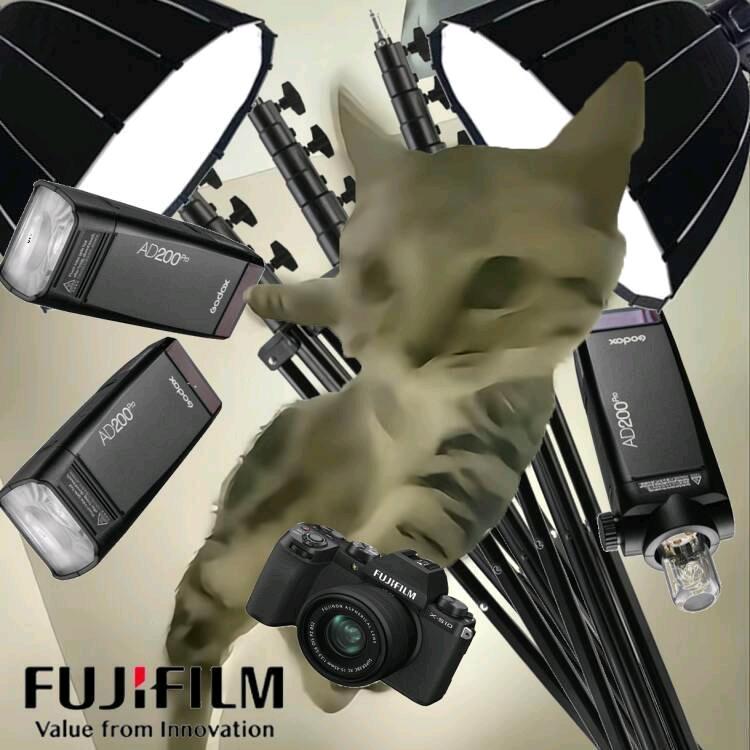 萝卜萝卜（约拍版）