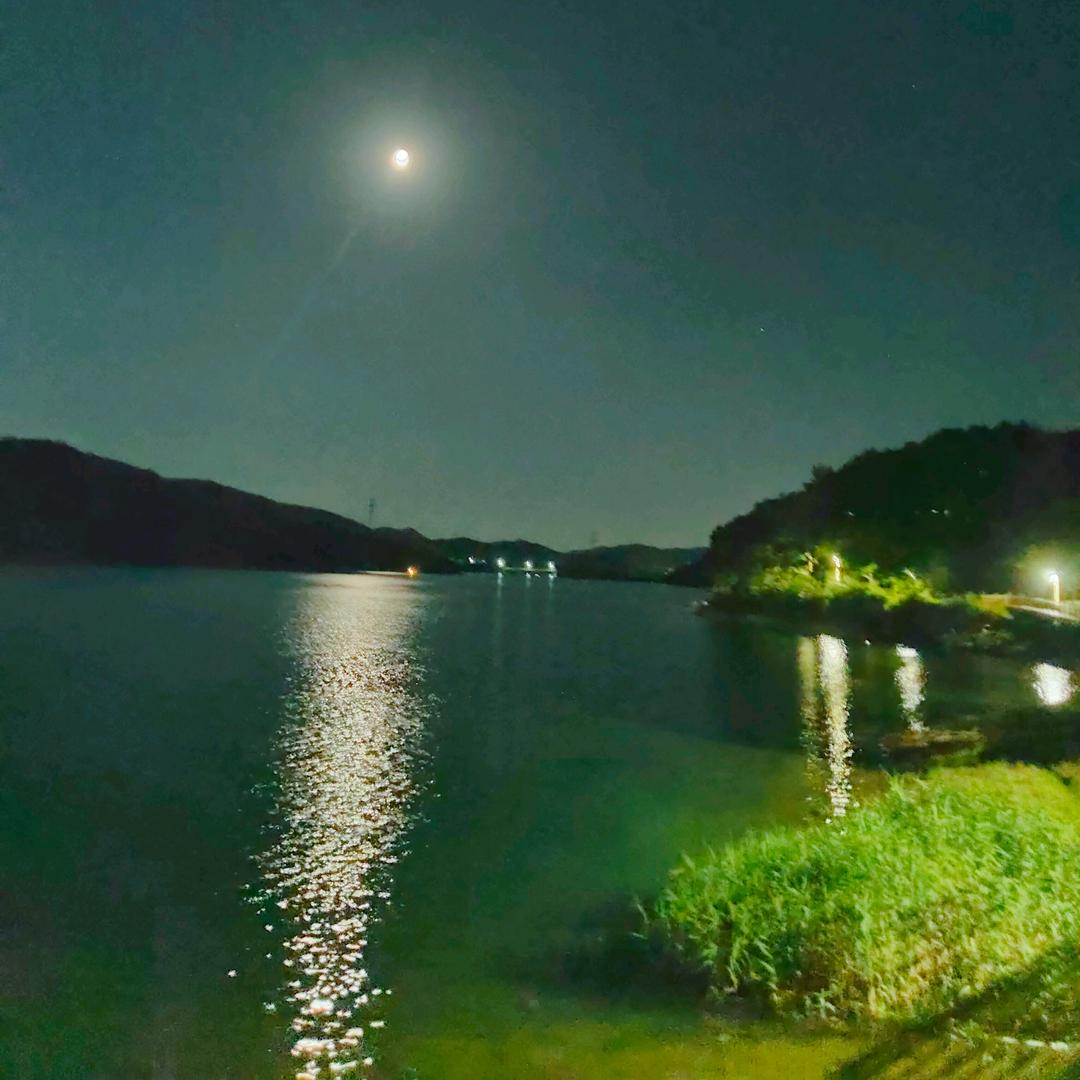 ℋ笑而不语ℛ🕊᭄: