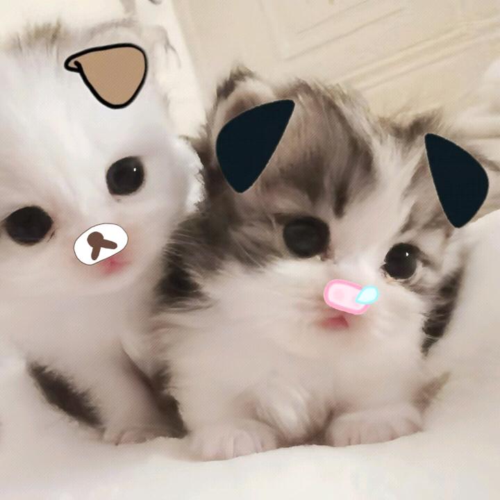 我想好好睡一觉