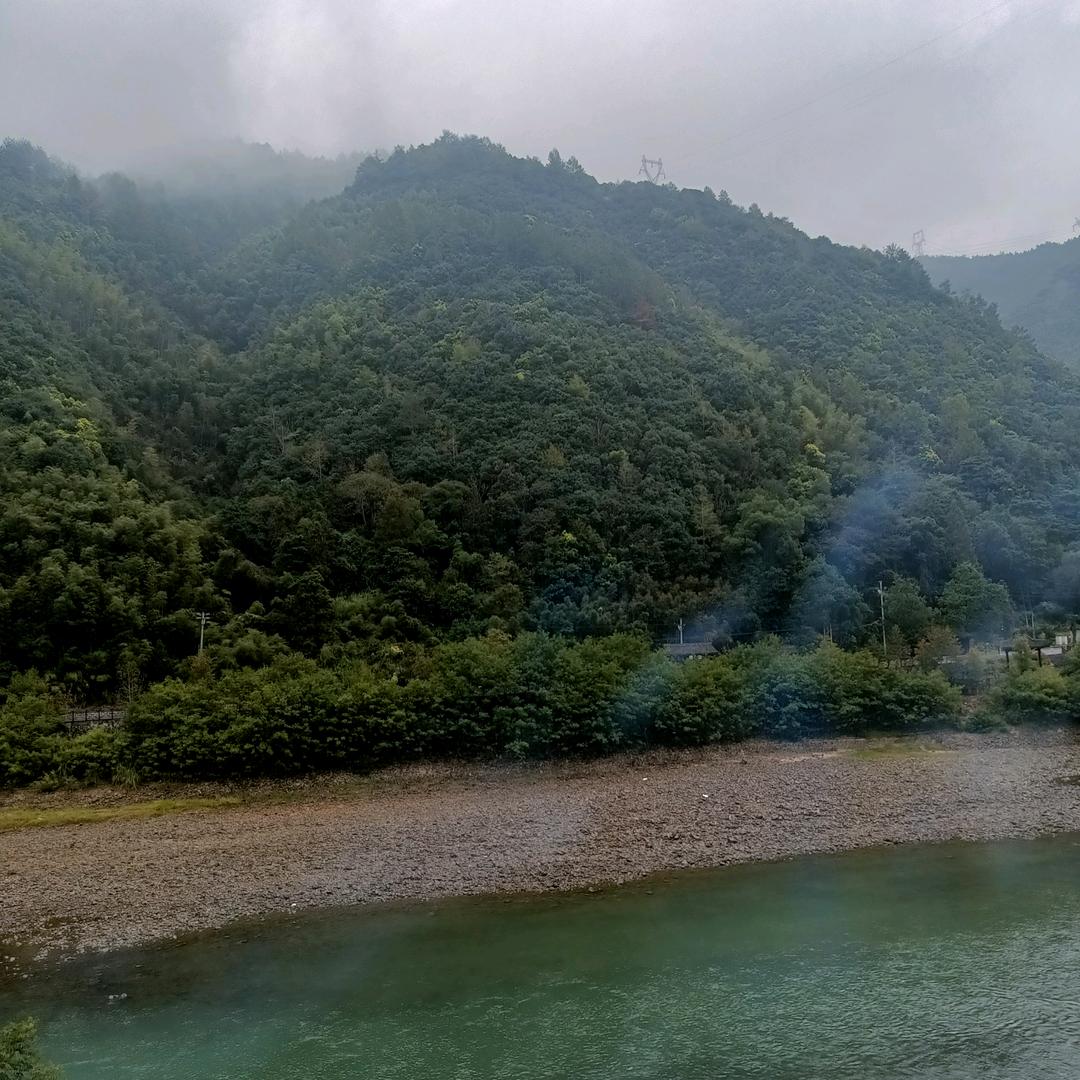 终身流浪