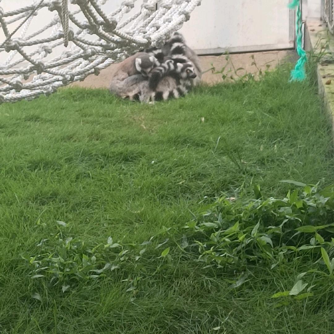 记得，，，下次，。还来。