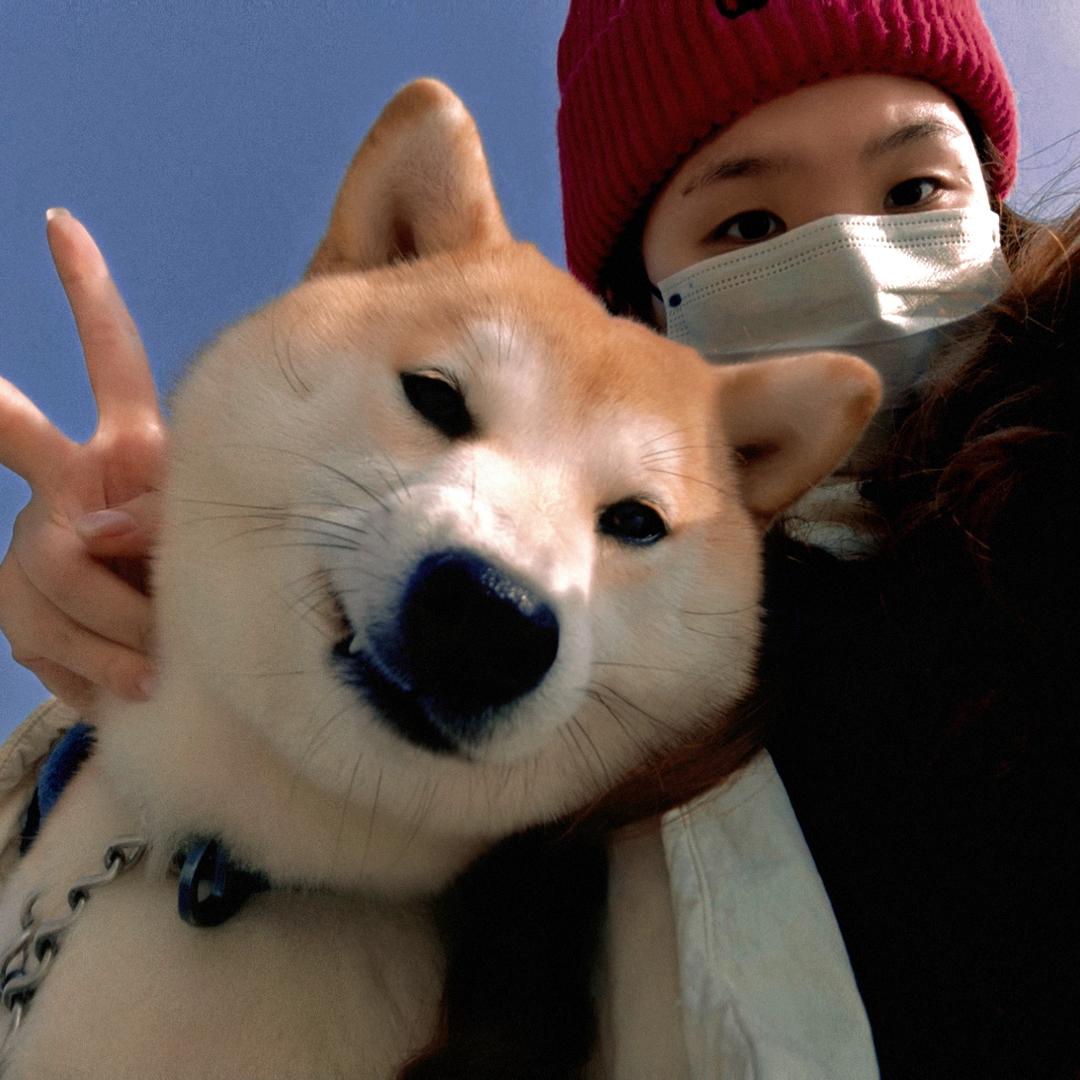 心乱如麻婆豆腐