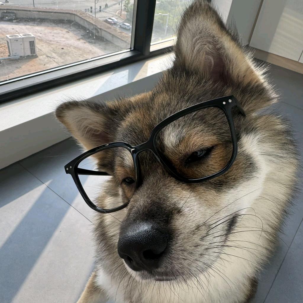 AAA特有种火凤凰