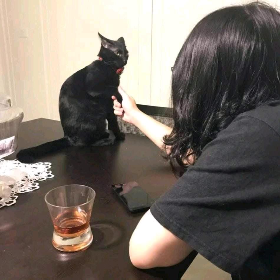 马来西亚麻哥