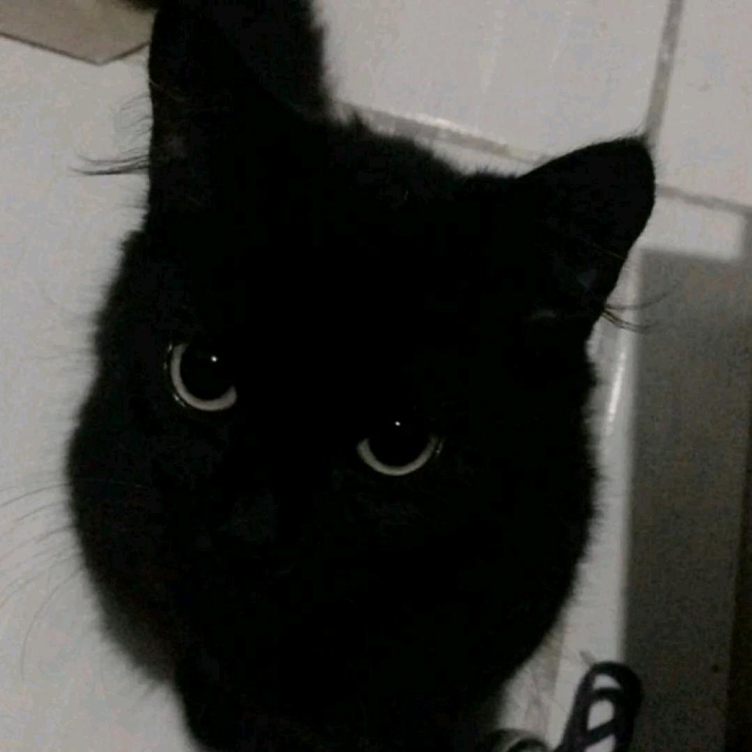 呦呦鹿鸣