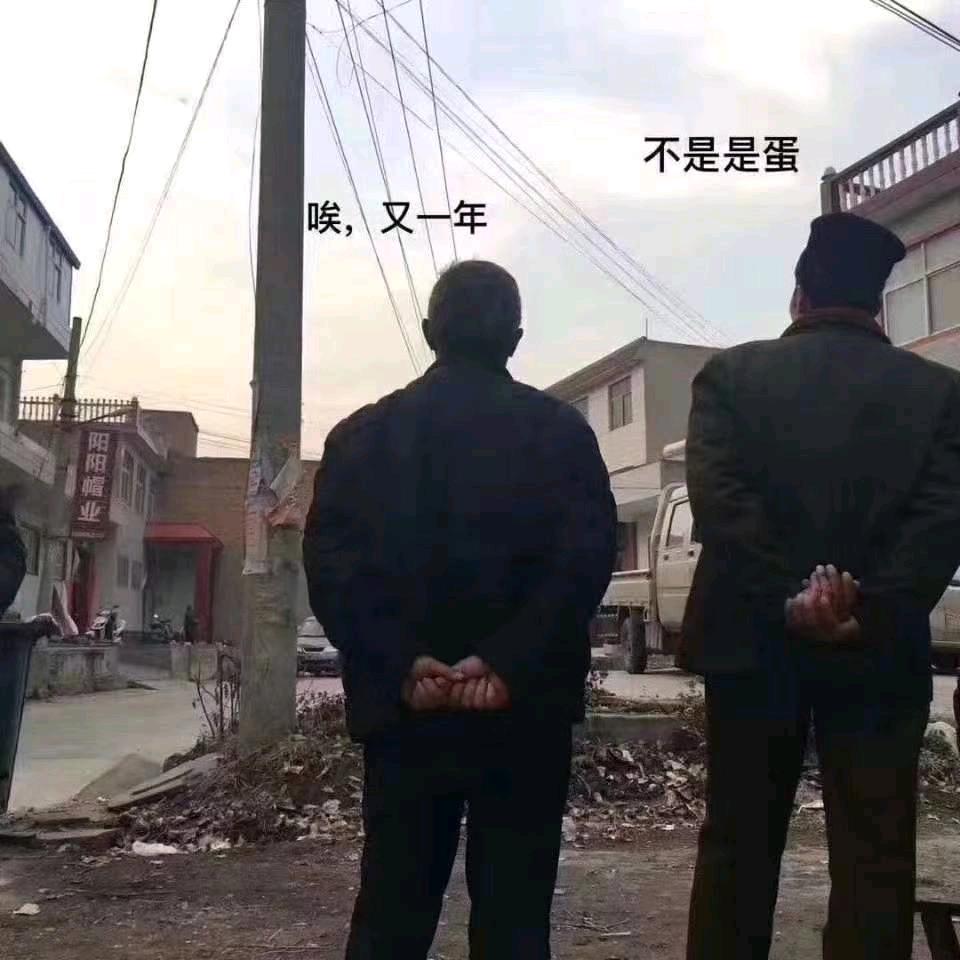 小马