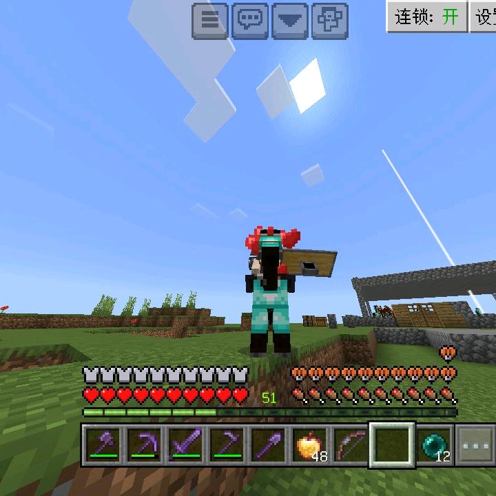 我的世界骑士(玩mc，蛋仔)