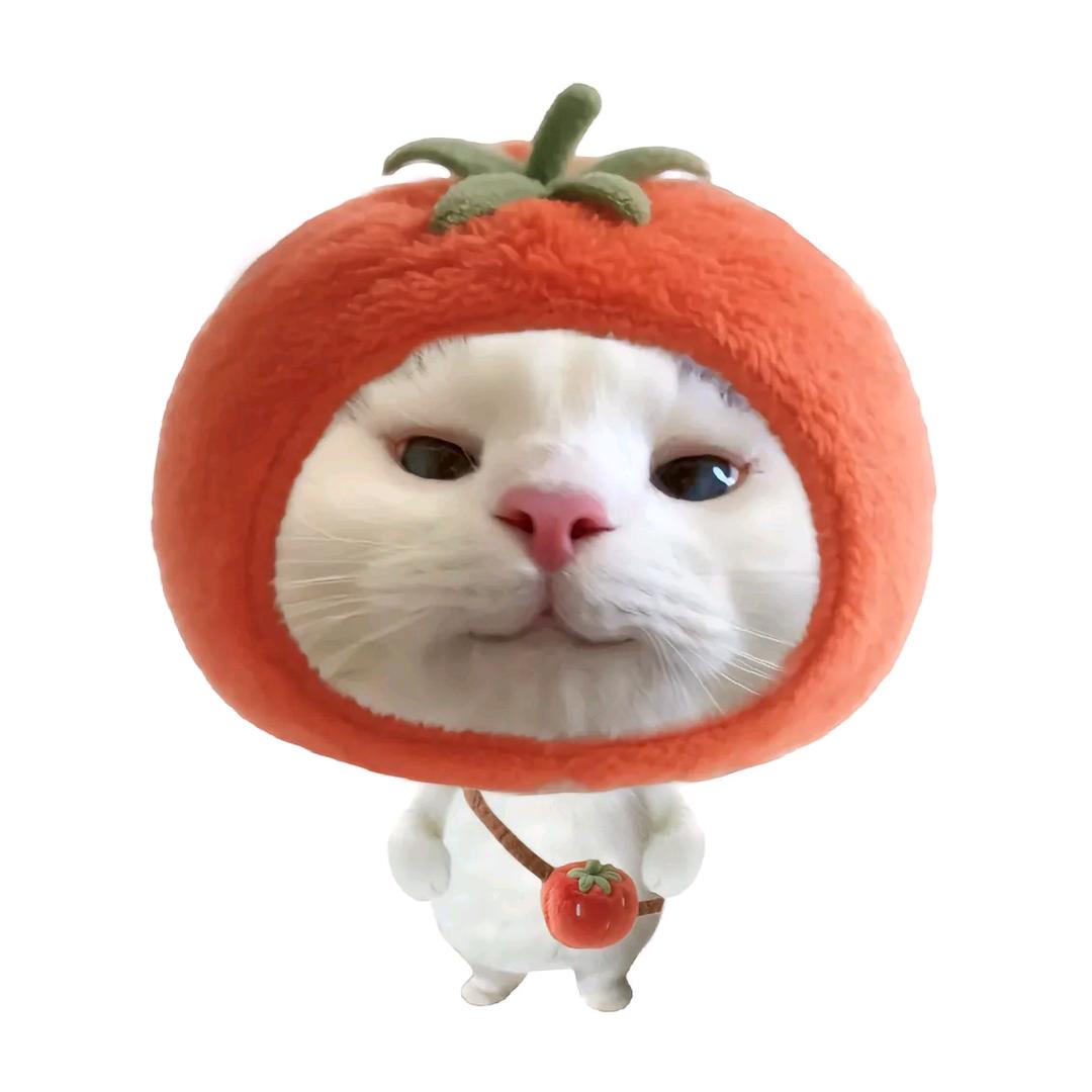 吃一口🍉
