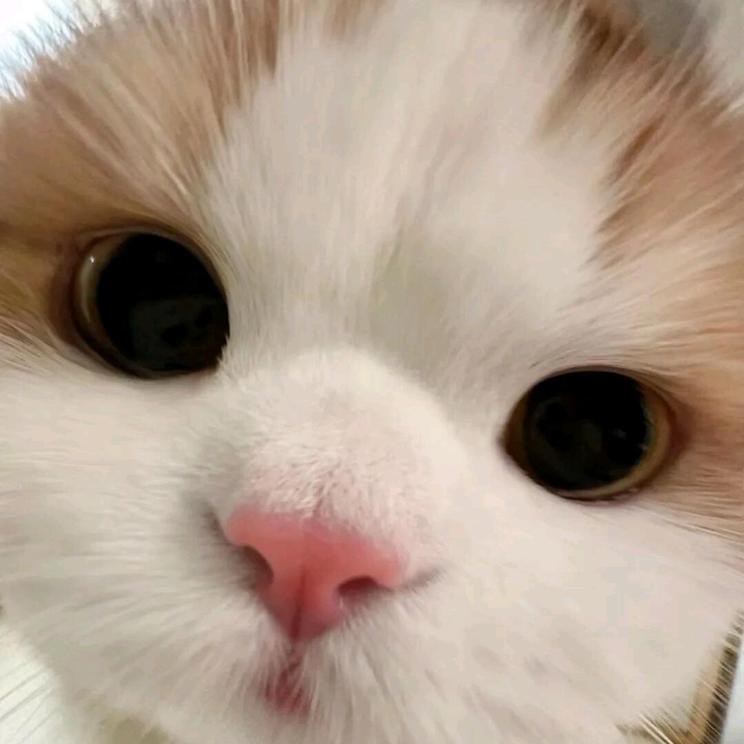 不要 说话