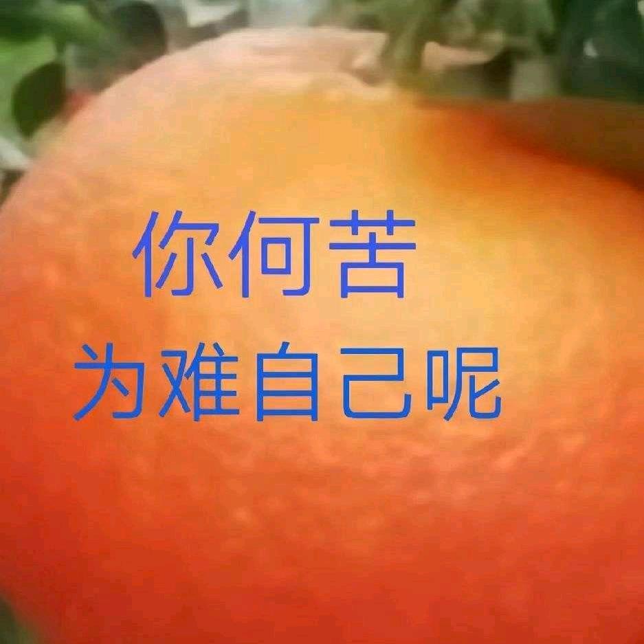 缘分是天注定