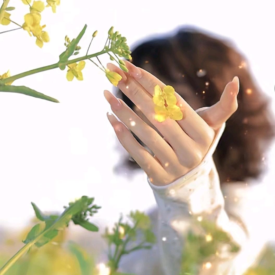 11月