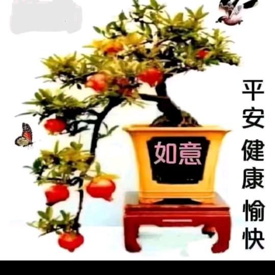春天🌹( ･_･)ﾉ⌒●~*