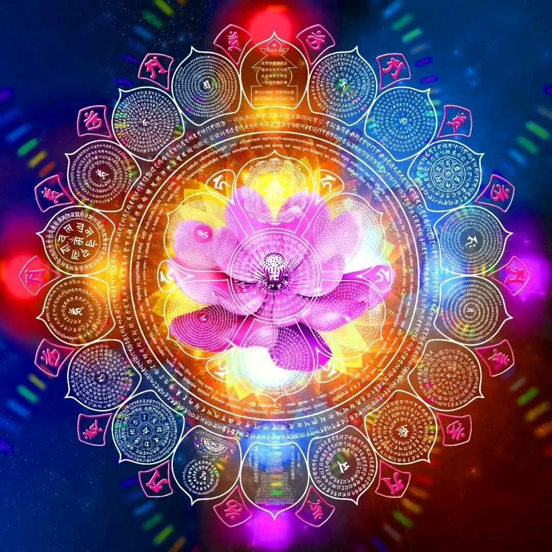 清净平等感恩