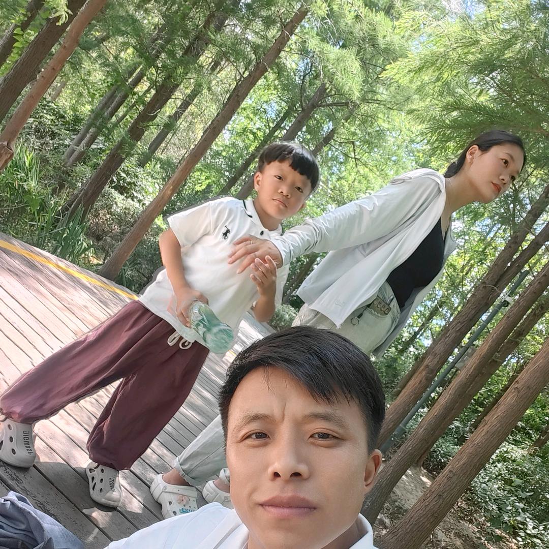 飛飛