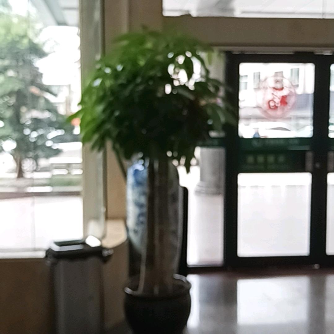 健康引路人