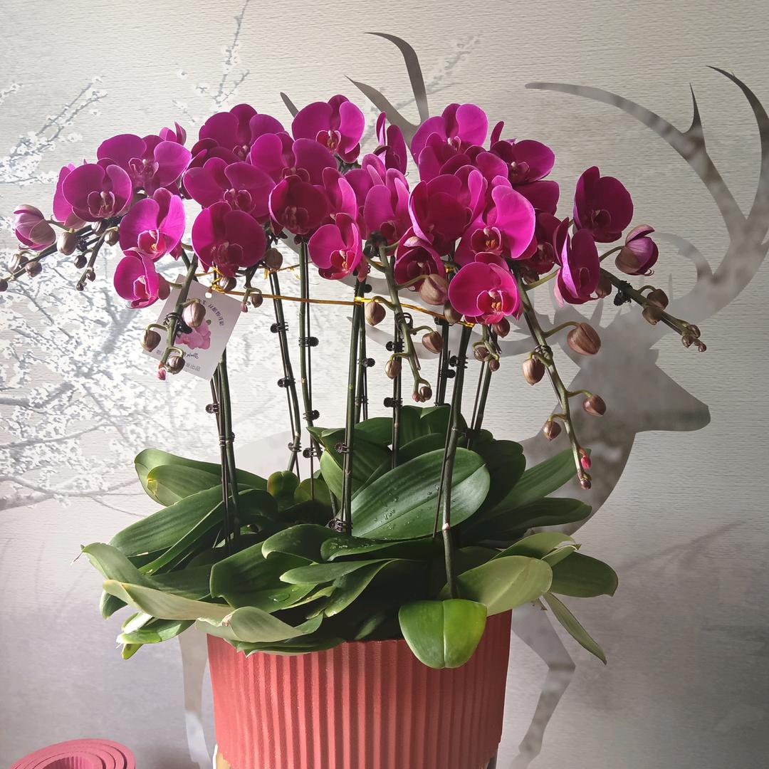 💘岁月静好》💘拒私聊