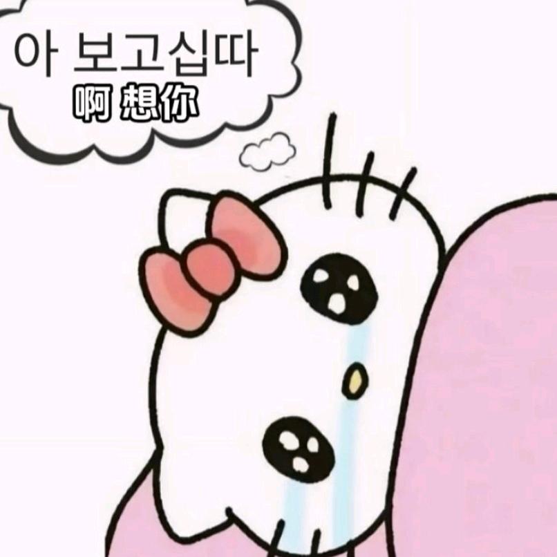 小熊无敌zhu