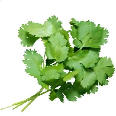屿