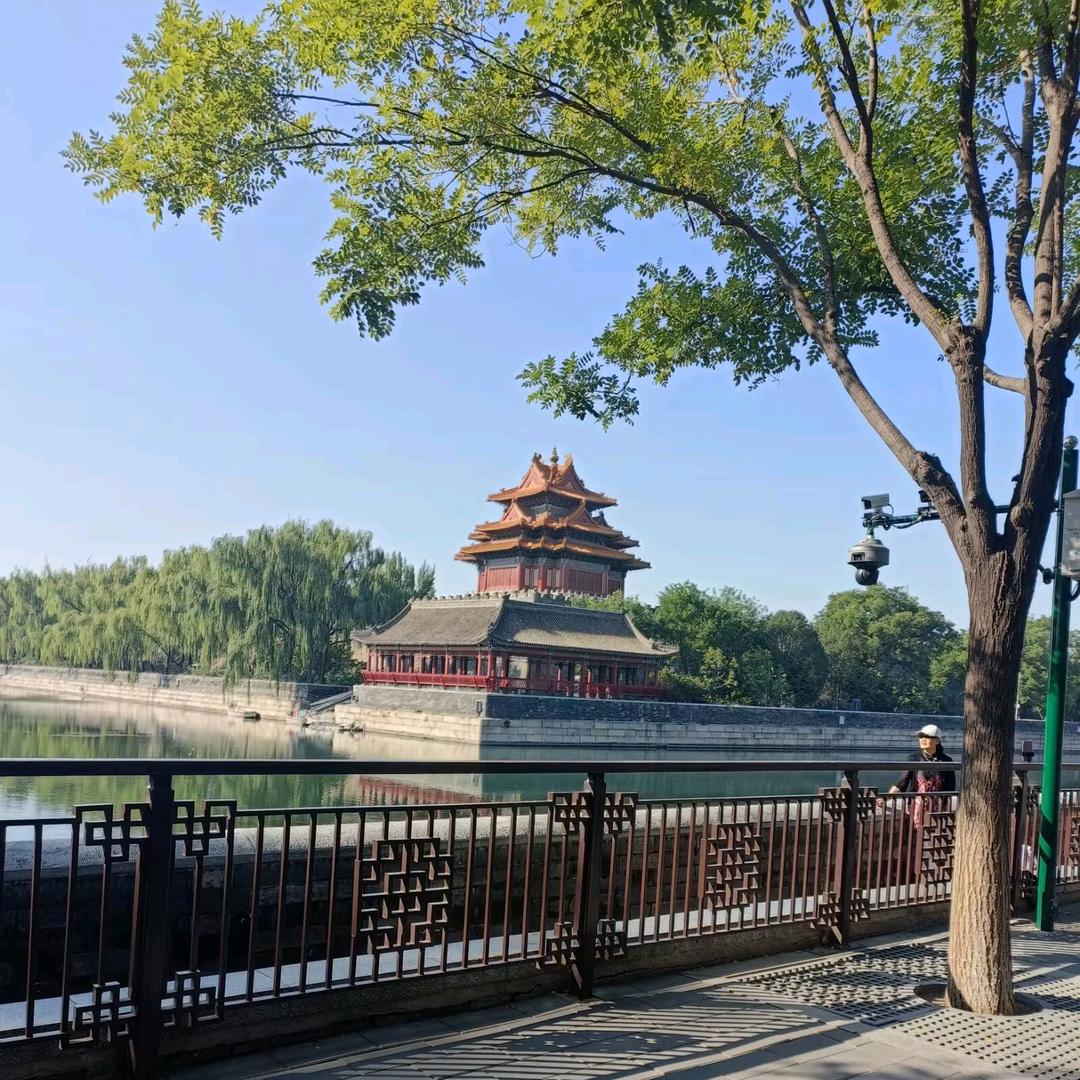 我心依旧